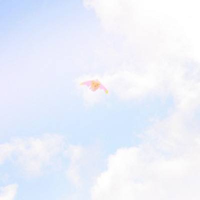 风城破解版下载