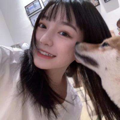 女团养成手游下载